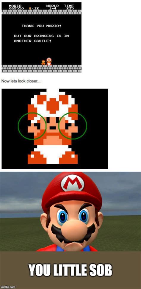 Super Mario 64 Toad Memes