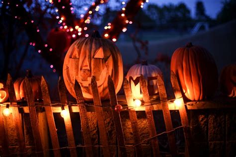 8 Best Outdoor Halloween Decorations Reviews Make Your Yard Stand Out