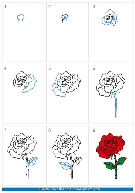 How To Draw A Red Rose Step By Step Easy Drawing Guides Drawing