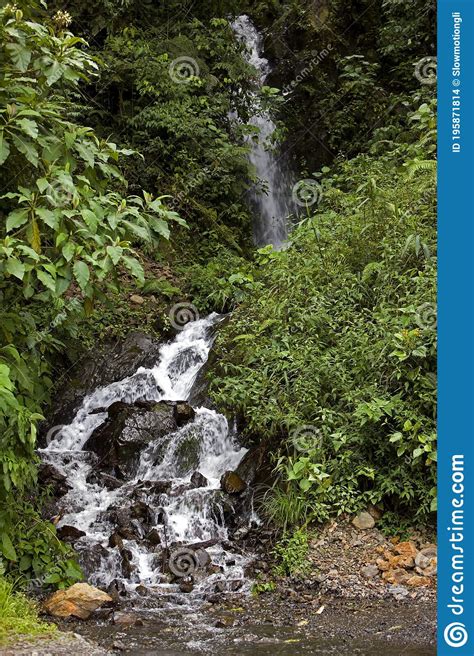 Tropical Forest And Waterfalls In Manu National Park Peru Stock Photo
