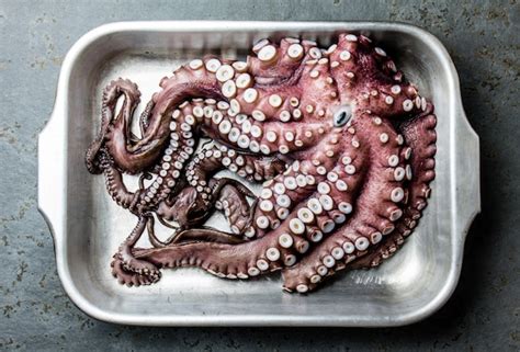 Premium Photo Seafood Octopus Whole Fresh Raw Octopus On Gray Slate