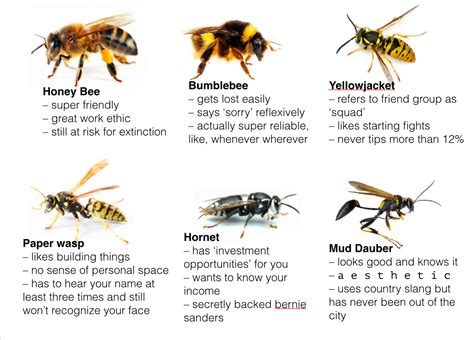 Description:all aspects of pest control servces. What bee are you? | Bees | Know Your Meme