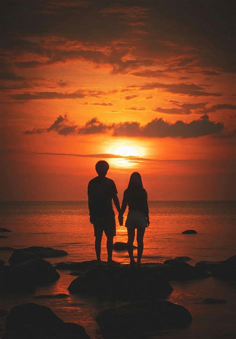 What does harem love mean?