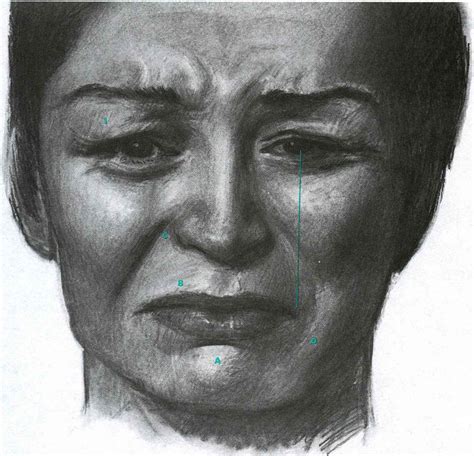 Sadness On The Verge Of Tears Facial Expressions Joshua Nava Arts