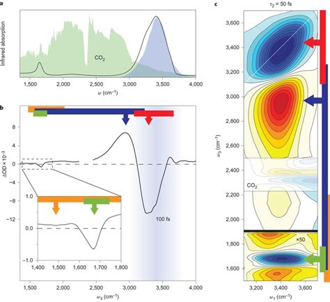 Steady State And Transient Infrared Spectra Of Liquid H2oa Infrared