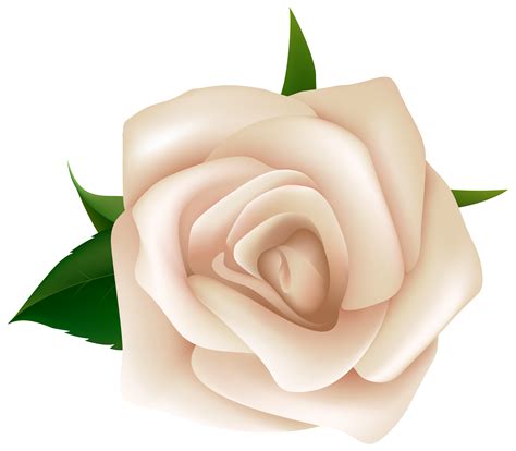 Rose White Clip Art White Rose Clipart Png Image Png Download 6415
