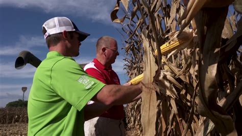 National Corn Yield Contest Youtube