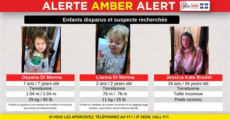 A message that conveys information about a recently missing or abducted person, usually displayed on electronic signs positioned along roadways. UPDATE: Quebec Amber Alert over, girls found safe and sound