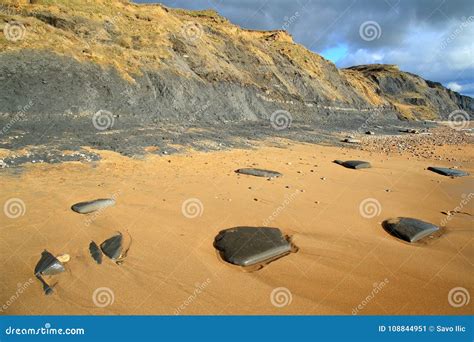 Beach On The Jurassic Coast Near Stock Image Image Of England United 108844951