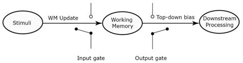 Simple Model Of Working Memory Control Within The Gating Framework