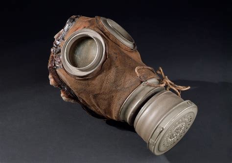 Chemical Warfare Hell Even Horses Needed Gas Masks During World War I