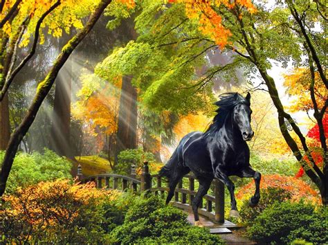 Autumn Tree Horse Wallpapers Wallpaper Cave