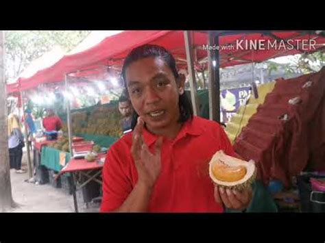 Selain rasanya yang unik, ia mempunyai aroma yang menyelerakan, wangi dan tidak tajam. Durian Paling Mahal Malaysia Black thorn D200@Duri hitam ...