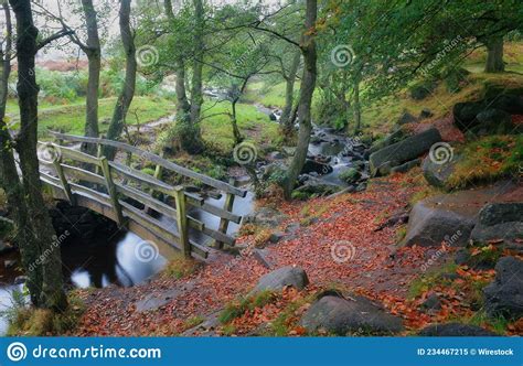 Small Wooden Bridge Over A Stream With Long Exposure In A Forest In