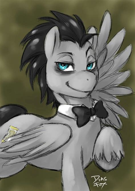 1000 Images About Mlp Dr Whoovesderpy On Pinterest Doctor Whooves