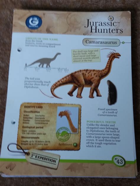 Camarasaurus Jurassic Hunters By Geoworld Dinosaur Toy Blog