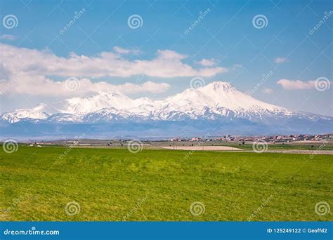 Field Of Grass And Snow Capped Mountains And White Clouds Against A