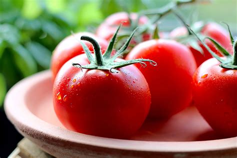 Tomatoes On Vine Royalty Free Stock Photo