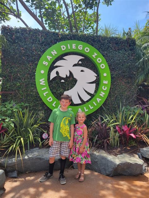 San Diego Zoo Touring Tips For Kids And Families