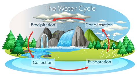 The Water Cycle Ciclo Da água Free Educação