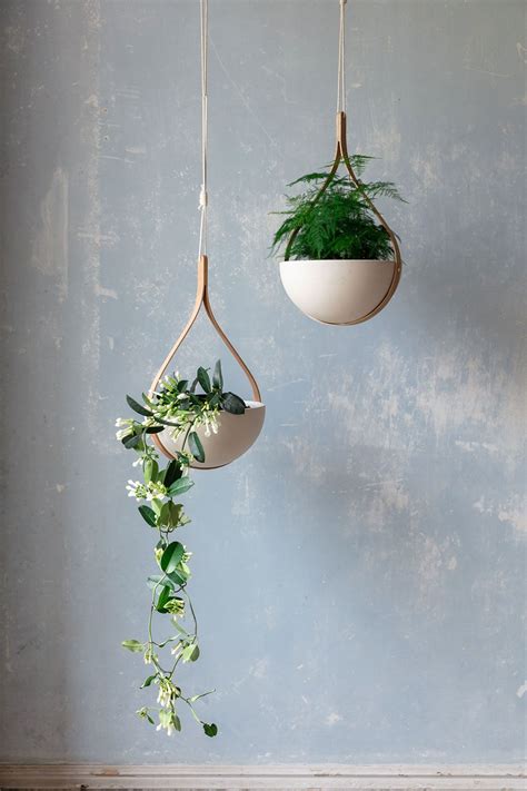 Morvah Ceiling Hanging Planter Hanging Plants Plant Decor Hang