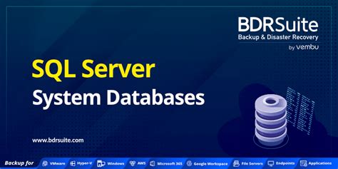 System Databases In Sql Server Bdrsuite