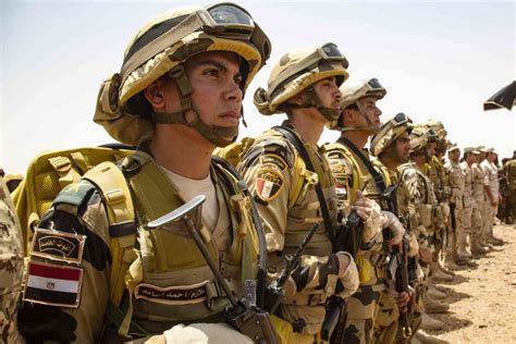 الجيش المصري القبض على أمير داعش في سيناء فيديو موقع الدفاع العربي
