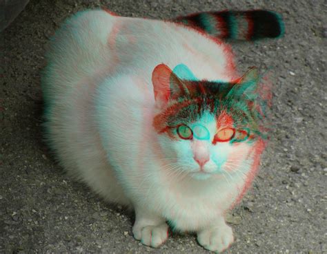 Mehmets Cat Made Into A Phantogram Mehmets 3d Anaglyph Flickr