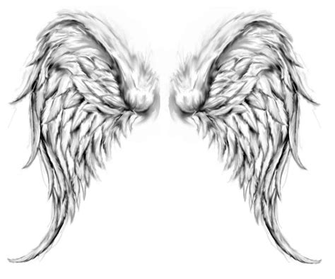 Drawing Angel Wings Down Clip Art Library