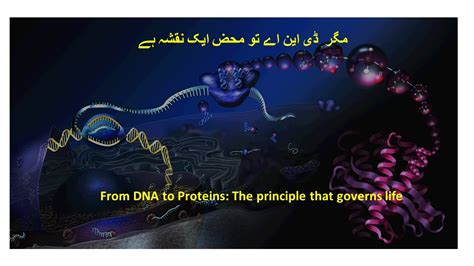 ڈی این اے سے پروٹین کائنات کا سب سے ناقابلِ یقین سفر Documentary In