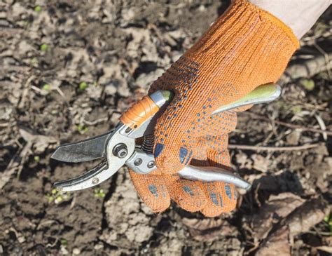What Are Garden Shears Used For Learn About Different Kinds Of Shears