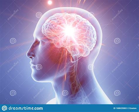 The human brain stock illustration. Illustration of organs - 168625065
