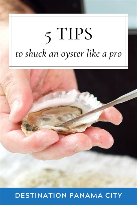 5 Tips To Buy Store And Shuck Oysters Like A Pro Heres Everything You Need To Know About