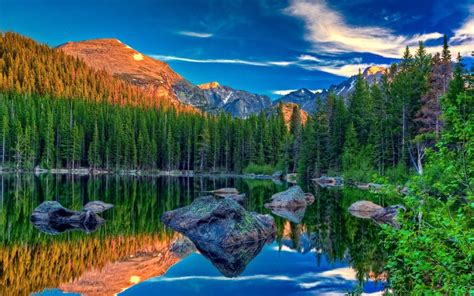 Lake In The Wood Cool Nature Wallpapers Amazing