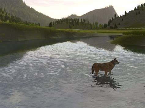 How To Find A Secret Den In Wolfquest 5 Steps With Pictures