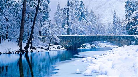 Hd Wallpaper Winter Snow Trees Ca Usa Yosemite National Park The