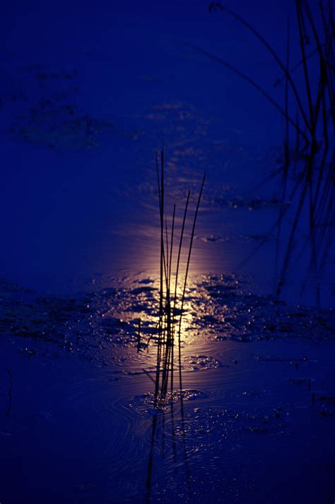 Moonlight On The Water Photograph By Gregory Schultz