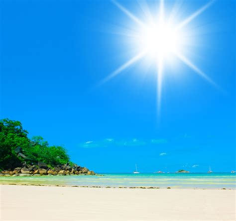 Here Comes The Sun Four Reasons To Love Vitamin D The ‘sunshine
