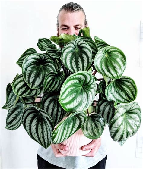 House Plant Club On Instagram So Many Caption Options With This One