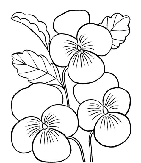 Printable Coloring Pages Flowers Coloring Home