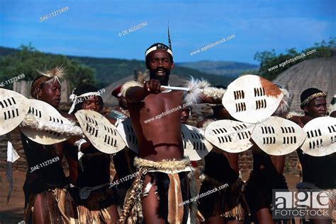 Zulu Warriors During A Ngoma Traditional Dance Zulu Village Kwazulu Natal South Africa
