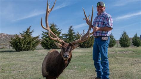 Guymon Men Claim Top Two Spots In Oklahoma Record Book For Nontypical Elk