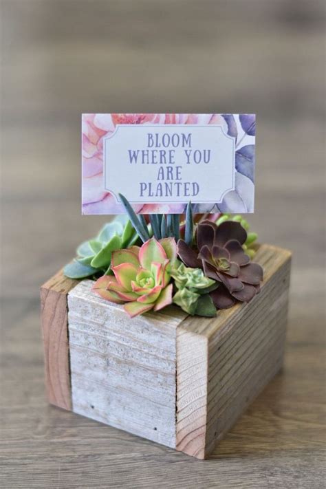 Make The Cutest Succulent Mini Pallet Ever Out Of Popsicle Sticks Artofit