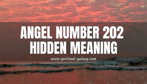 Angel Number 202 Hidden Meaning Your Positive Vibes Spiritual