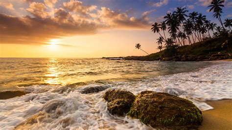 Sunset On The Sandy Beach With Coconut Palms Sri Lanka Windows