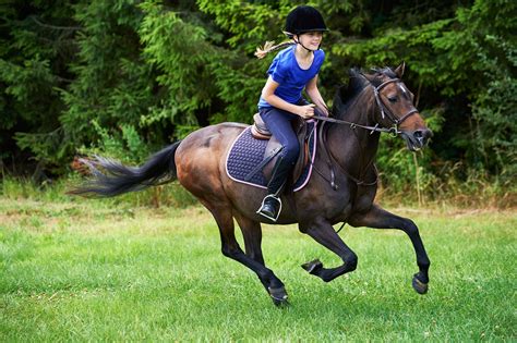 5 Key Skills Youll Learn In Horse Riding Lessons Best Horse Riding