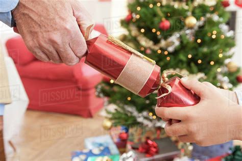 Close Up Of Man And Boys Hands Pulling Christmas Cracker Stock Photo
