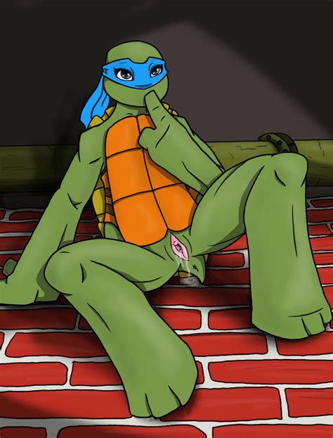 Rule 34 Female Kiwamukappa Leonardo Rule 63 Tagme Teenage Mutant Ninja Turtles 1294489