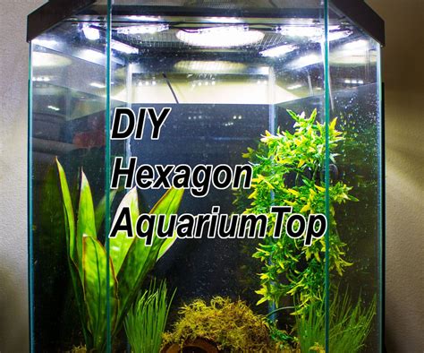 Diy Led Hood For A 20 Gallon Hexagon Aquarium Tank Aquarium Hood