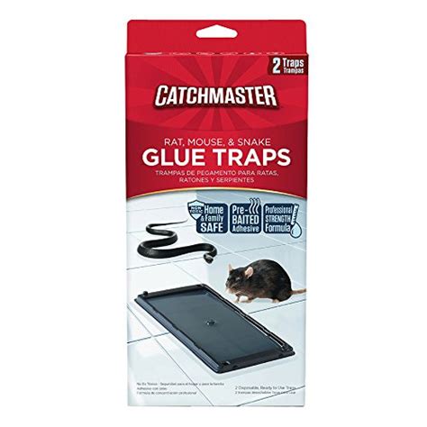 Best Glue Traps For Rats How To Catch A Smart Rat In 2021 Watersnakenet